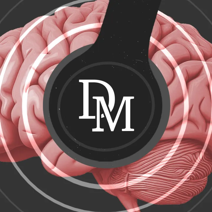 Daily Maverick Podcast