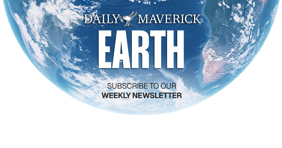 Subscribe to Maverick Earth