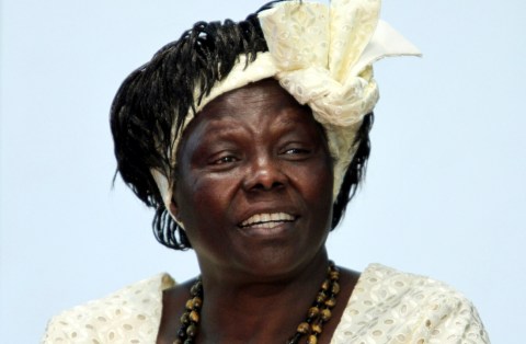 Wangari Maathai: Africa’s tree lady dies in Nairobi