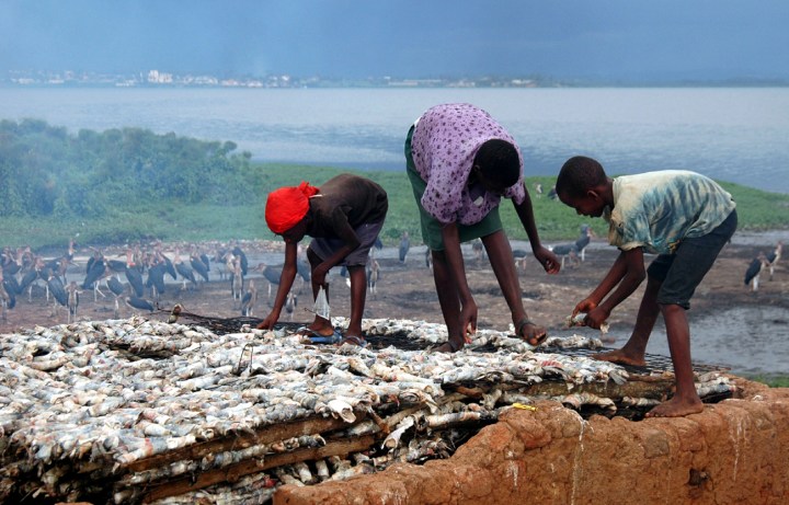Uganda and Kenya primed to draw arms over tiny Lake Victoria island
