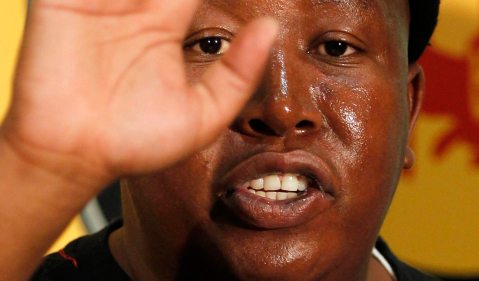 From Young Lions to purring pussycats: Malema chapter in ANCYL reaches inglorious end