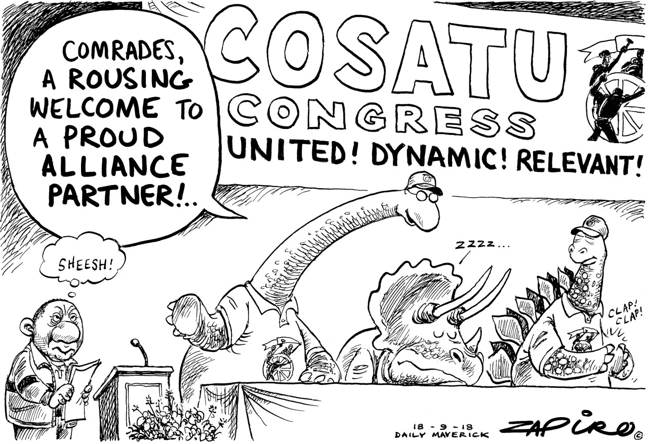 Congress Camaraderie