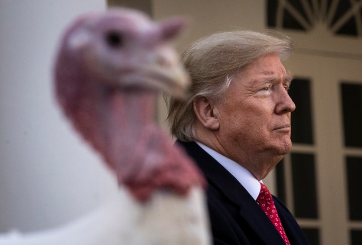 Turkeys, parades and pardons: Thanksgiving in images