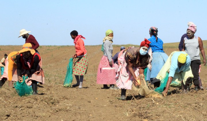 Military veterans break new ground to set up agricultural co-op in Eastern Cape