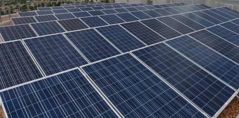 Something new under the sun: Cape company crowdfunds solar projects
