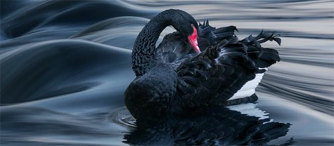 Investments in a black swan world – are they safe anywhere?