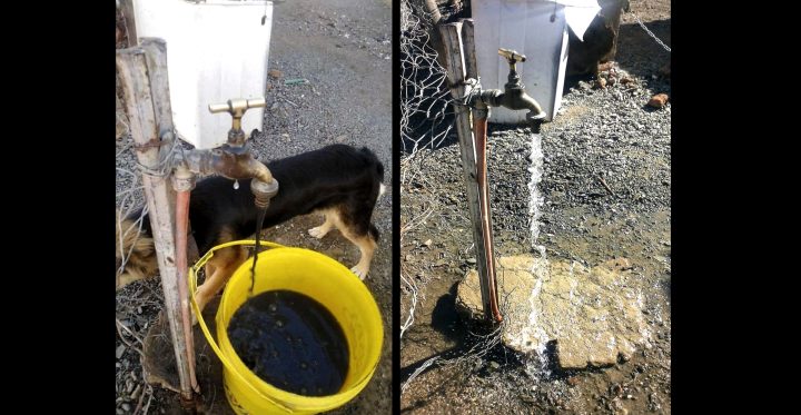 Eastern Cape: Black water runs out of taps in drought-stricken Klipplaat