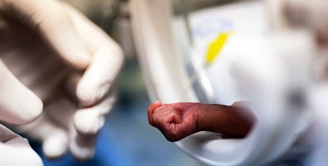Baby death rate at Gqeberha hospital skyrockets as staffing crisis deepens