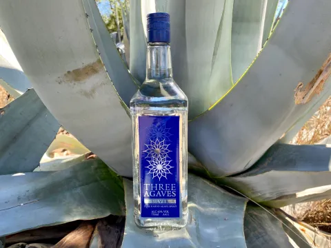 The promises and pitfalls of Karoo agave