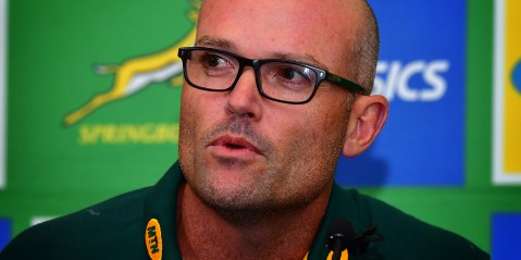 The young bucks are giving Bok coach Jacques Nienaber food for thought