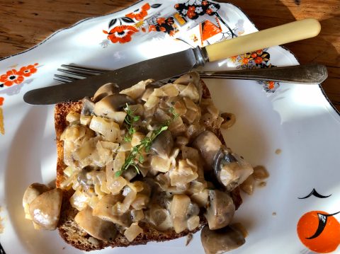 What’s cooking today: Mushrooms on toast