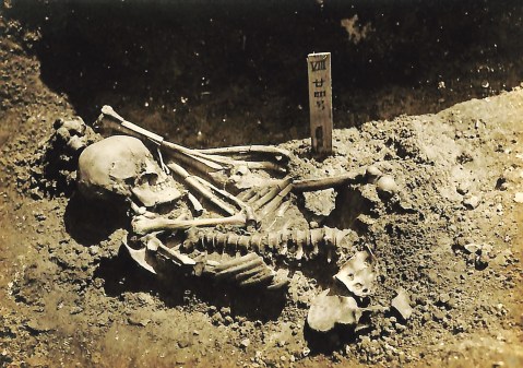 Bone of contention: Skeleton reveals a dramatic episode in the life of a prehistoric Japanese man