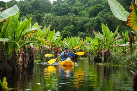 A delight in backwater kayaking
