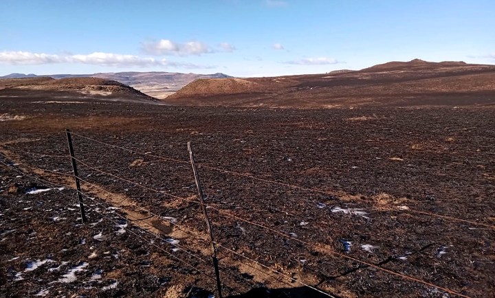 Eastern Cape farmers counting the costs after wildfires ravage grazing land in Dordrecht