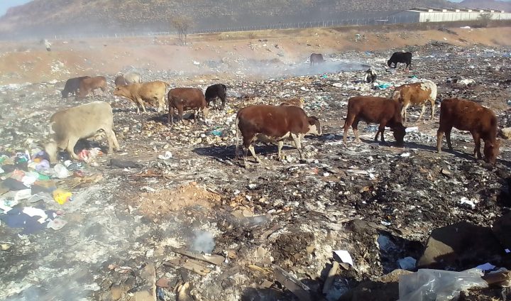 Toxic times: Smouldering, chaotic landfill site a serious health hazard, say Eastern Cape’s Komani residents