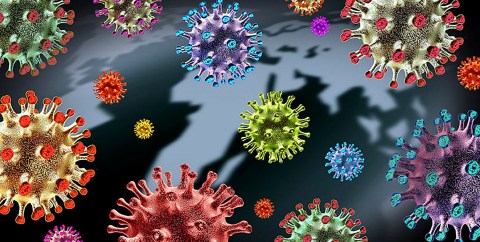 Covid crash course: A walkthrough of what you need to know about viruses, variants and vaccines