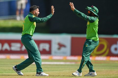 A tale of wilting and blooming Protea teams