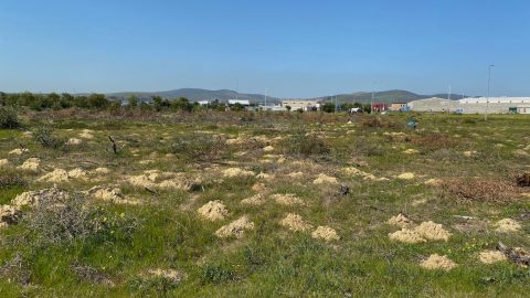 Developers try to overturn sale of land for Cape Town housing development