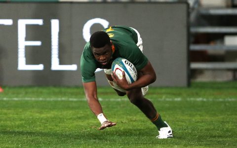 Smart management of Aphelele Fassi will pay dividends for Springboks in future