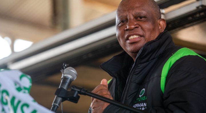 Analysis: ActionSA is poised for a decent first showing in elections, despite some questionable claims