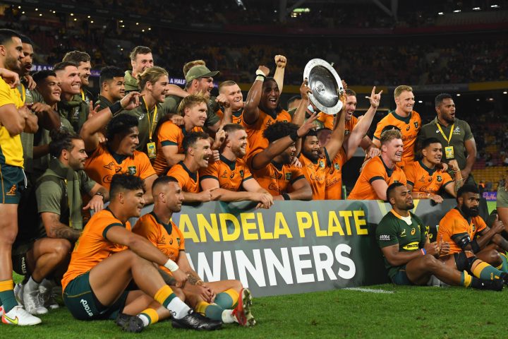 Boks’ performance against Wallabies not worthy of the Springbok jersey, says coach Jacques Nienaber