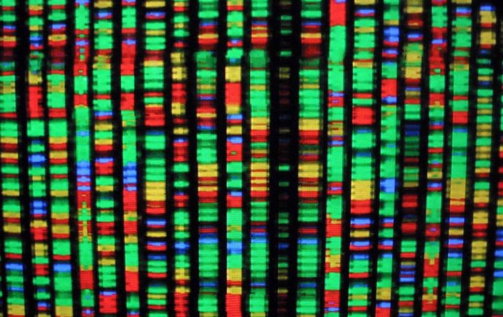 WHO guidelines on human genome editing: why countries need to follow them