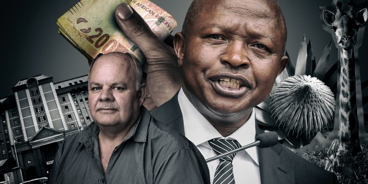 Conservationist vs David Mabuza: Court hears evidence of massive land claims fraud