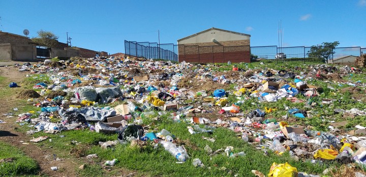 The filth and the fury: Desperate Makhanda residents obtain court order forcing municipality to clean up the town