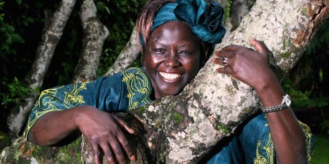 Nature’s Defenders: Wangari Maathai, the tree woman of Kenya who gave birth to forests