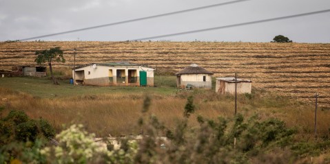 Radical break from the past: Politicians and policymakers can no longer ignore inequitable land access