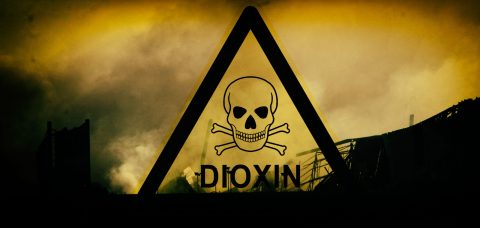 Toxins, dioxins and potential risks to grandchildren from the UPL chemical inferno