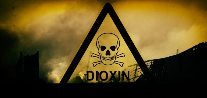 Toxins, dioxins and potential risks to grandchildren from the UPL chemical inferno