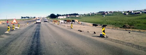 Sparks fly at meeting with rural community over proposed N2 Wild Coast toll road