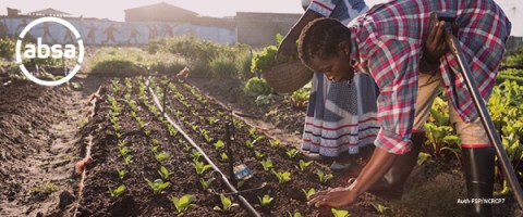 Supporting resilient food systems in the face of growing food insecurity