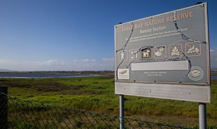 City of Cape Town dragging its heels on rehabilitation of Rietvlei wetlands, claims Milnerton Aquatic Club