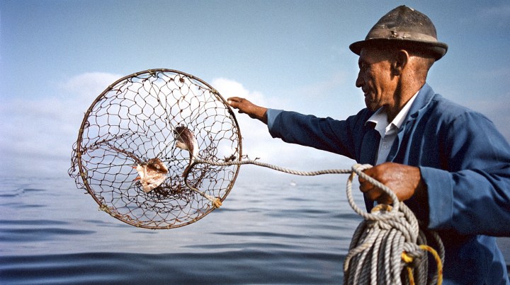 Covid-19 deepened the challenges faced by small-scale fishers in South Africa
