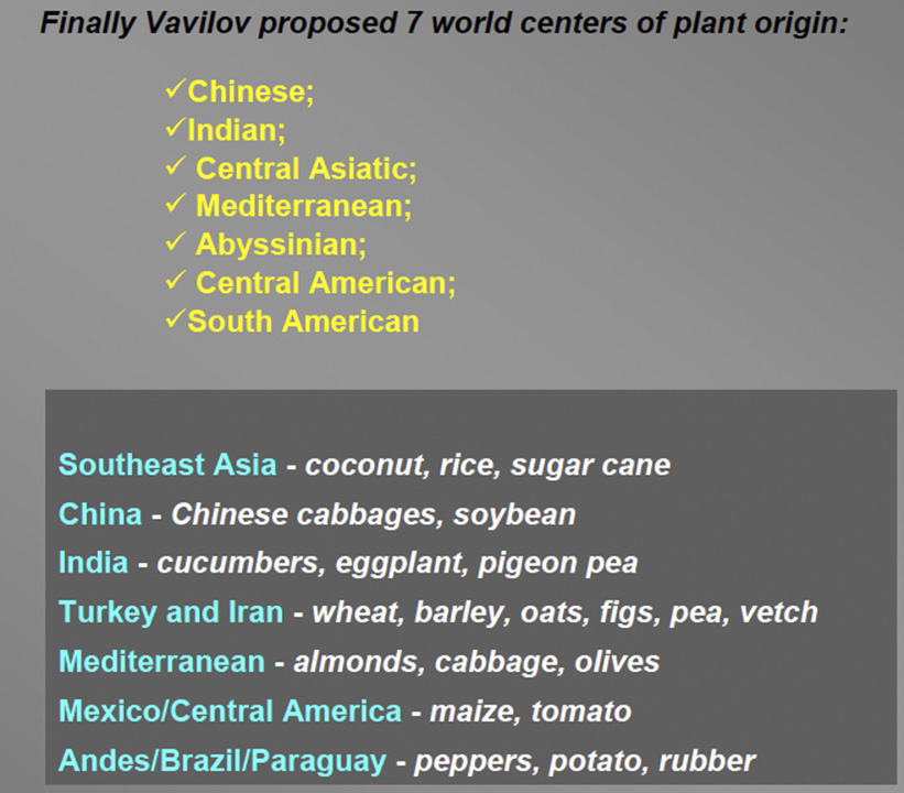 vavilov plant origin