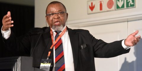Mantashe says nuclear is the ‘saviour’ while Ramaphosa punts hydrogen and green energy 