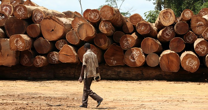 Fight against climate crisis being hacked off at the knees in DRC