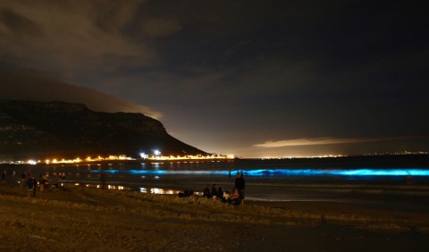 Spectacular natural choreography: how the ocean put on a show of blue bioluminescence around False Bay and Hermanus