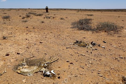 Ecological decline feeds conflict in a deadly cycle as climate crisis looms