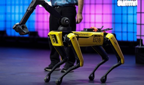 Bark versus bite: Choosing a name for a US robotic dog doing research in Africa