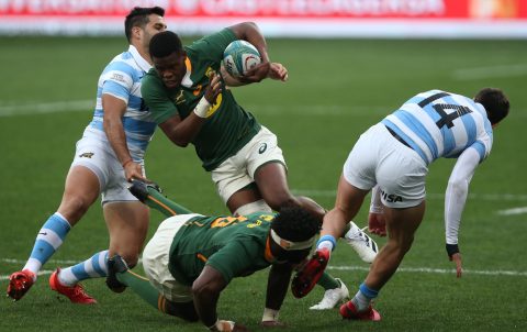 Springbok young guns are in it for the long haul