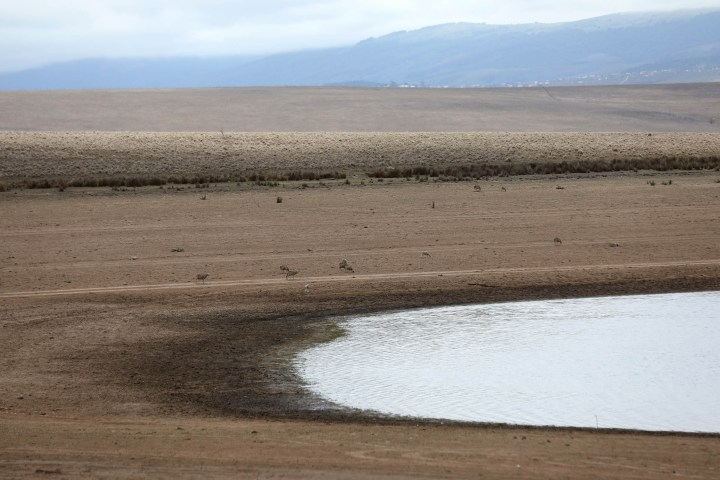 Water levels below 50% as drought rips through Eastern Cape