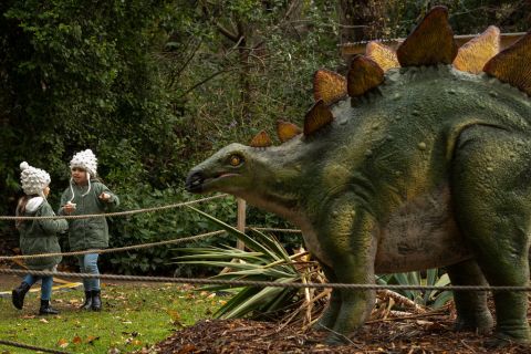 Australia’s oldest dinosaur was a peaceful vegetarian, not a fierce predator