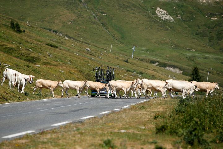 Cows and cars should not be conflated in climate change debates