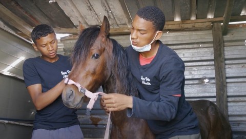 Atlantis non-profit horse rescue service and outreach programme channelling youth away from drug addiction
