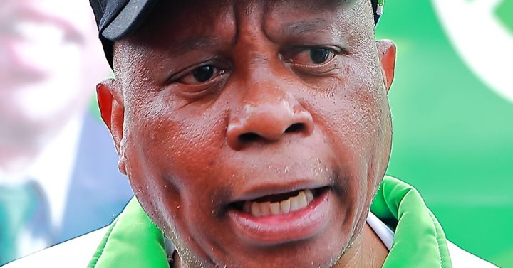 Herman Mashaba’s Action SA is a breakout story of election – the count continues