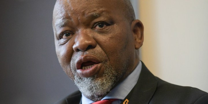 Mantashe calls environmental activism ‘colonialism and apartheid of a special type’ amid opposition to Shell Wild Coast survey