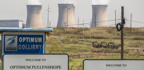 Optimum Coal: NPA’s Hermione Cronje wants curator to step in to protect ‘interest of the State’